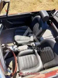 1981 Alfa Romeo Spider