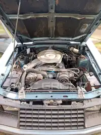1981 Ford MUSTANG