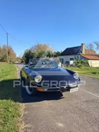 1982 Alfa Romeo Spider