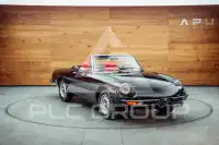 1982 Alfa Romeo Spider