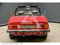 1982 Alfa Romeo Spider
