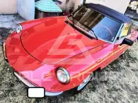 1982 Alfa Romeo Spider