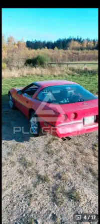 1984 Corvette C4