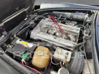 1984 Alfa Romeo Spider