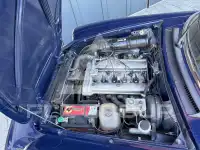 1985 Alfa Romeo Spider
