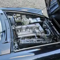 1986 Alfa Romeo Spider