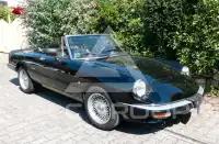 1989 Alfa Romeo Spider