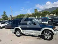 1995 Mitsubishi PAJARO