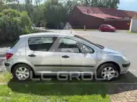 2001 Peugeot 307