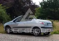 2002 Peugeot 206
