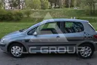 2003 Peugeot 307