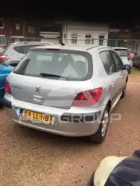 2003 Peugeot 307