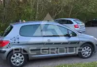 2003 Peugeot 307