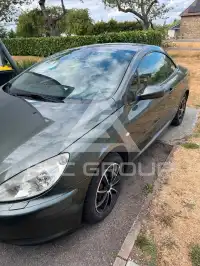 2003 Peugeot 307