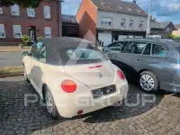 2003 Volkswagen BEETLE