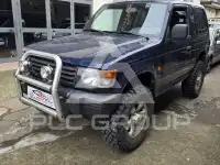 2004 Mitsubishi PAJARO