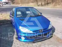 2004 Peugeot 206