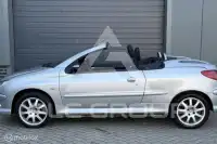 2004 Peugeot 206