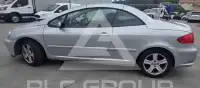 2004 Peugeot 307