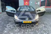 2004 Peugeot 307