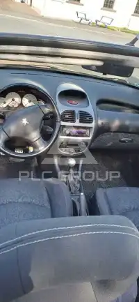 2004 Peugeot 206
