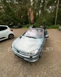 2004 Peugeot 206