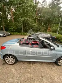 2004 Peugeot 206