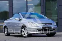 2004 Peugeot 307