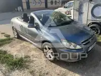 2004 Peugeot 307