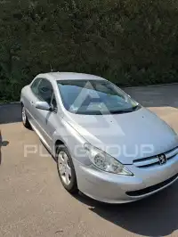 2004 Peugeot 307