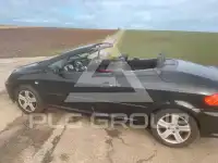 2004 Peugeot 307