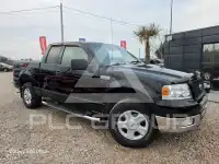 2004 Ford F-150