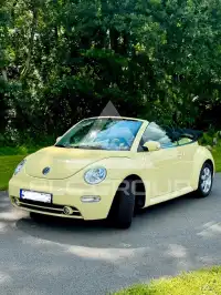 2004 Volkswagen BEETLE