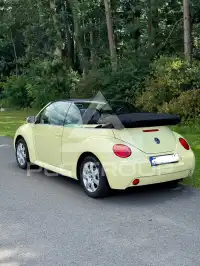 2004 Volkswagen BEETLE