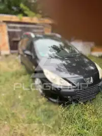 2005 Peugeot 307