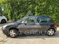 2005 Peugeot 307
