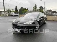 2006 Peugeot 407