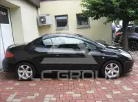 2006 Peugeot 307