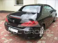 2006 Peugeot 307
