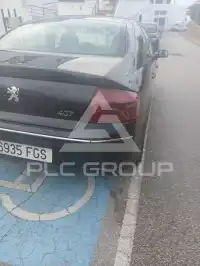 2006 Peugeot 407