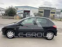 2007 Peugeot 206