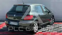 2007 Peugeot 307