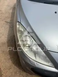 2007 Peugeot 307