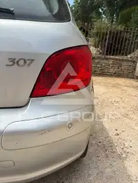2007 Peugeot 307
