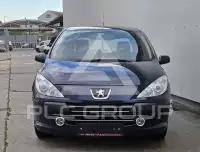 2007 Peugeot 307