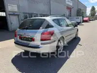 2007 Peugeot 407