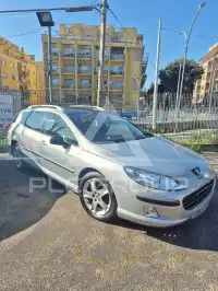 2007 Peugeot 407