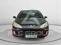 2007 Peugeot 407