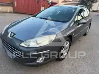 2007 Peugeot 407