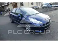 2007 Peugeot 207